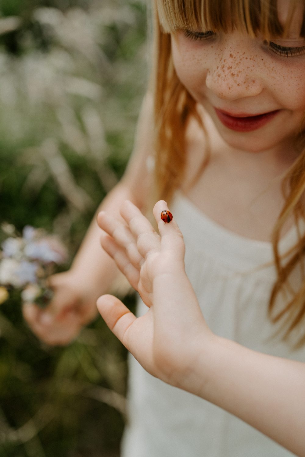 (max-width: 768px) 370px, (max-width: 1024px) 556px, 100vw